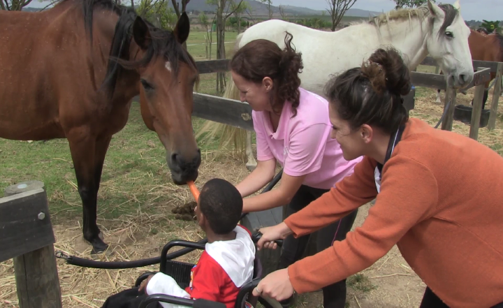 Bugz Horses at Pete's Adventure Farm