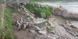 Kleinmond