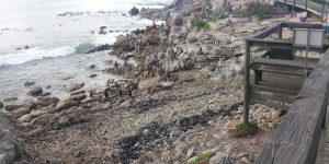 Kleinmond