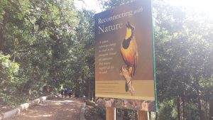 Harold Porter Botanical Garden