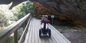 Harold Porter Botanical Garden